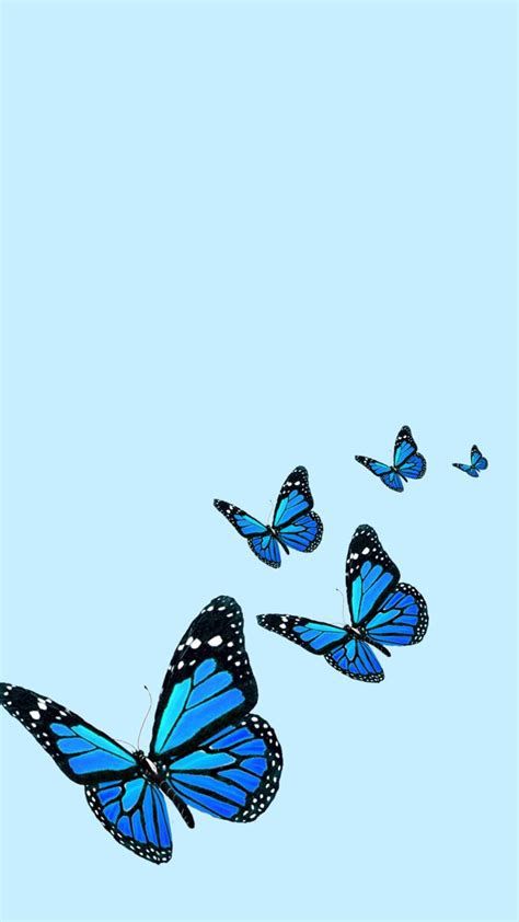 Schmetterling Wallpaper - KibrisPDR
