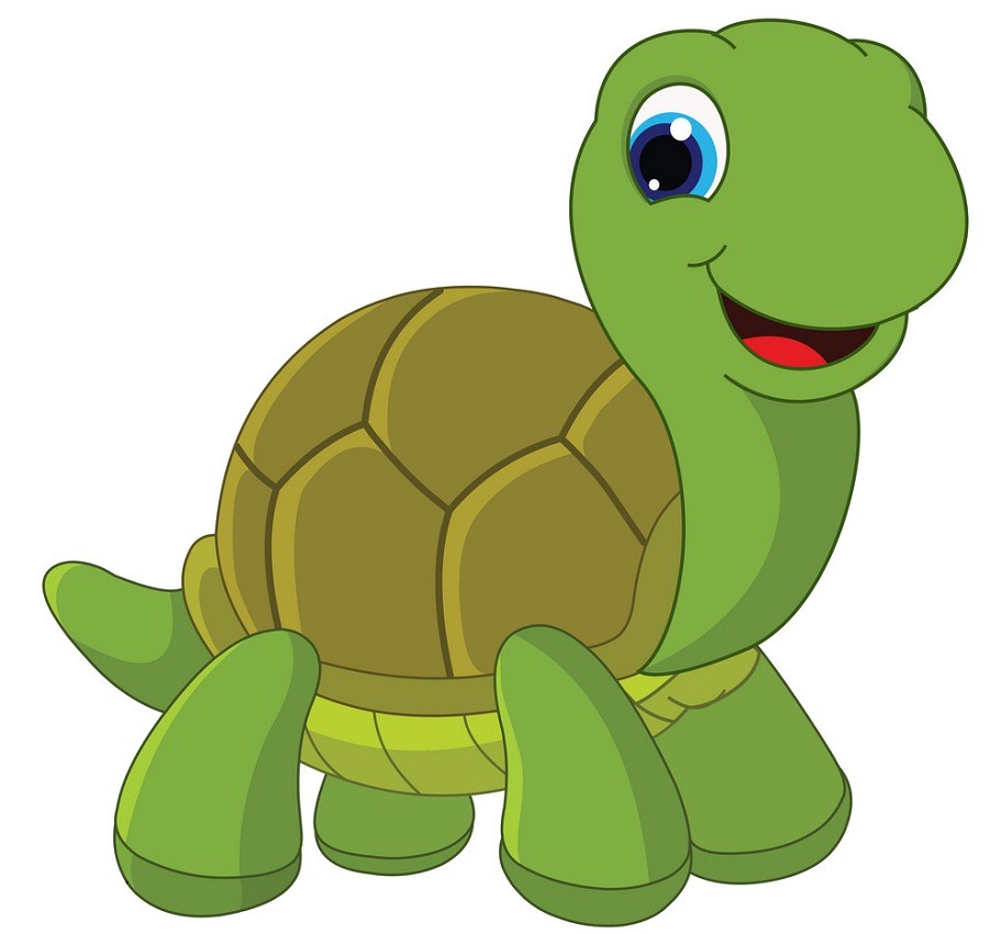 Detail Tortoise Clipart Nomer 13