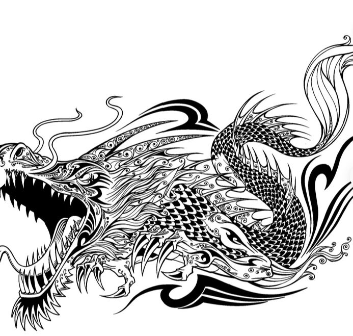 Detail Drachen Skizze Nomer 18