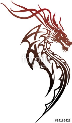 Detail Drachen Skizze Nomer 3