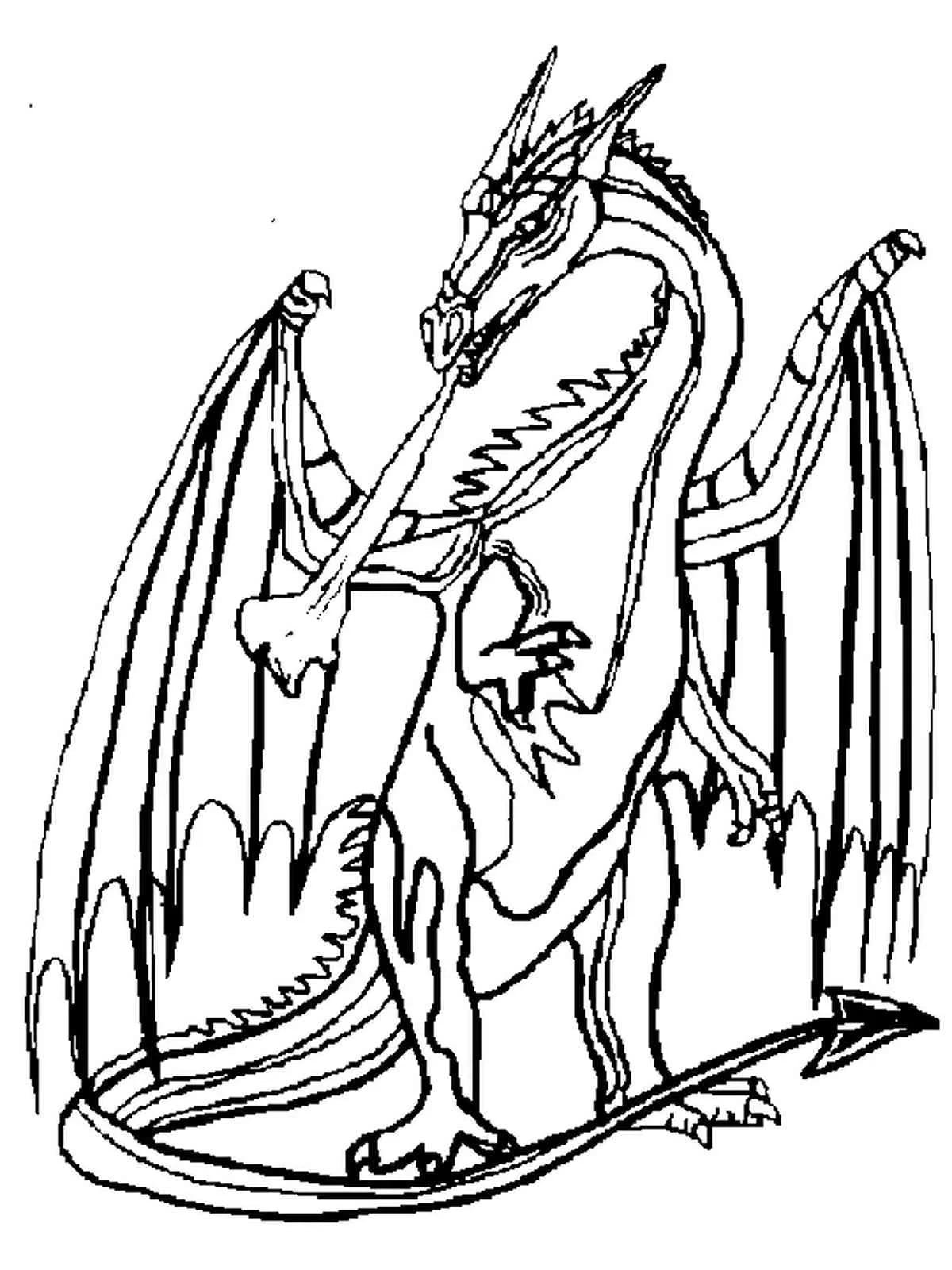 Detail Drachen Skizze Nomer 6