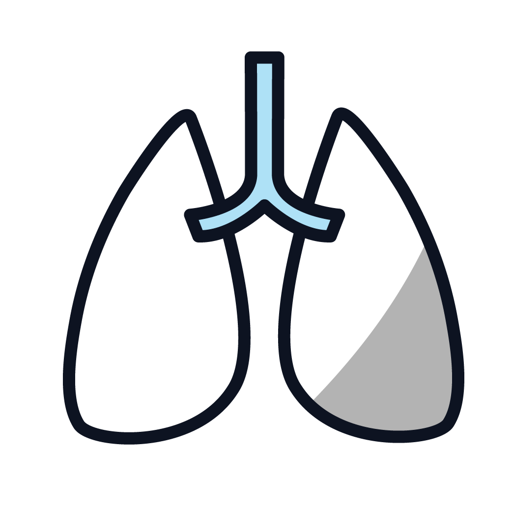 Detail Prognostic Font Nomer 12