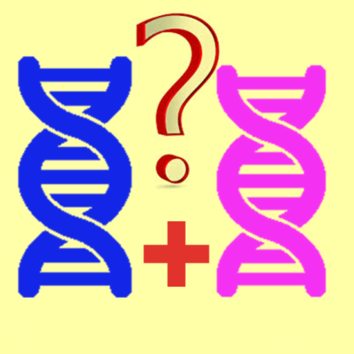 Detail Prognostic Font Nomer 14