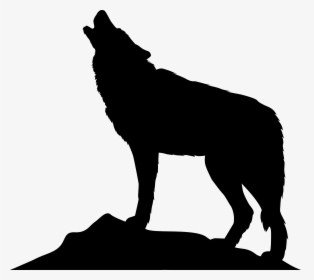 Detail Wolf Bilder Nomer 15