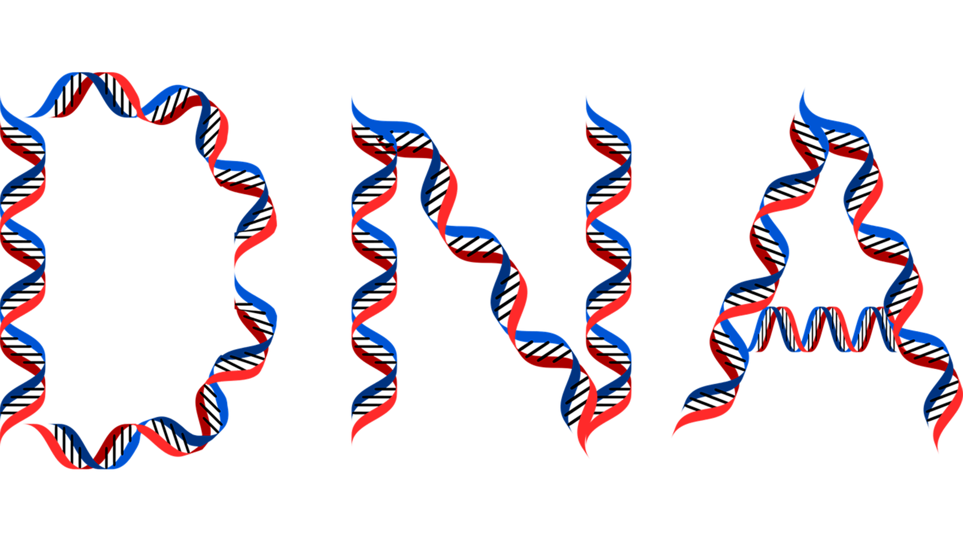 Detail Dna Bild Nomer 19