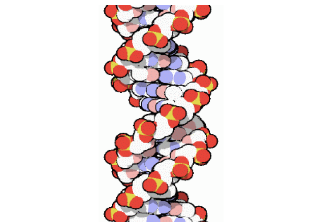 Detail Dna Bild Nomer 23