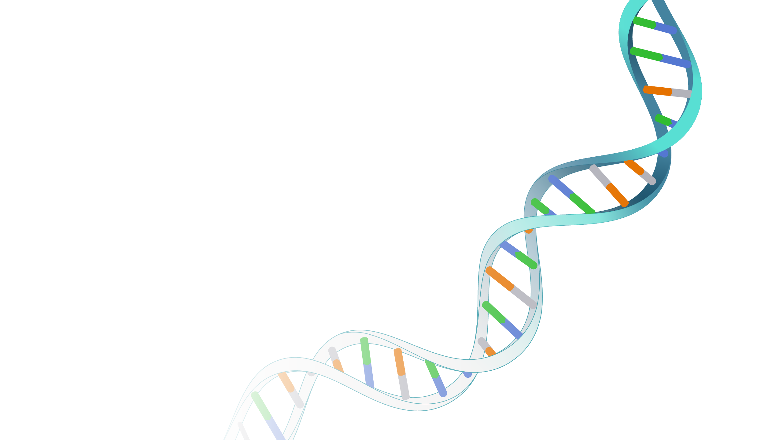 Detail Dna Bild Nomer 6