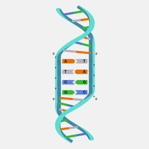 Detail Dna Bild Nomer 8