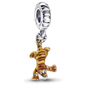 Detail Pandora Freundschaft Charm Nomer 13