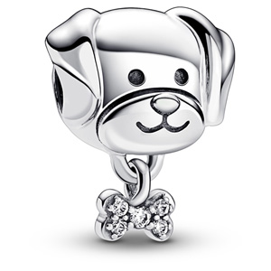 Detail Pandora Freundschaft Charm Nomer 18