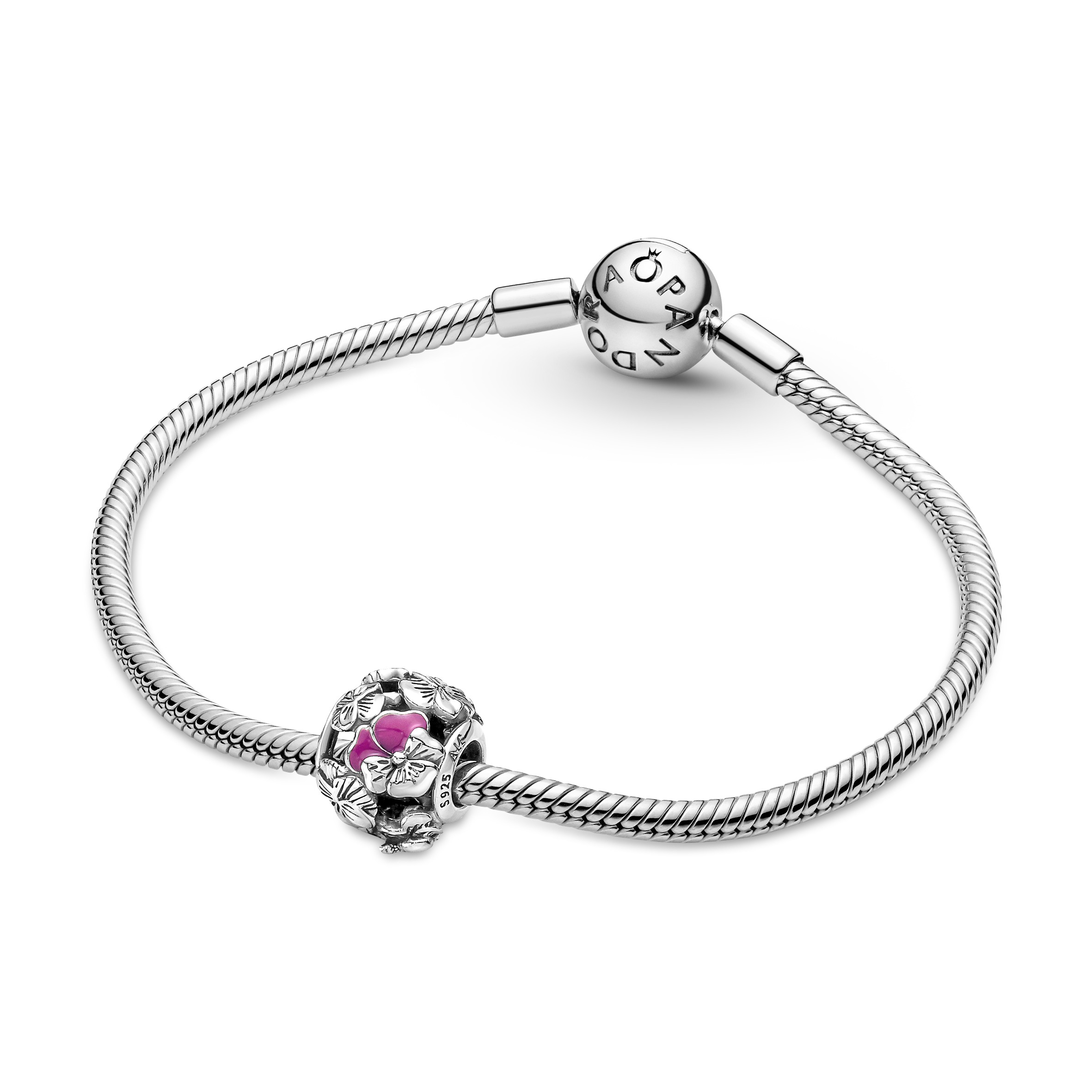 Detail Pandora Freundschaft Charm Nomer 24