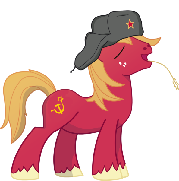 Detail Soviet Commissar Hat Nomer 19