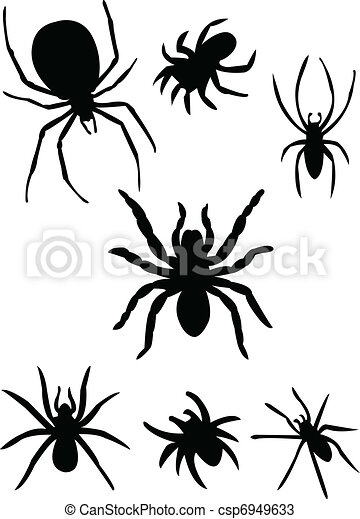 Detail Spinnenarten Mit Bildern Nomer 21