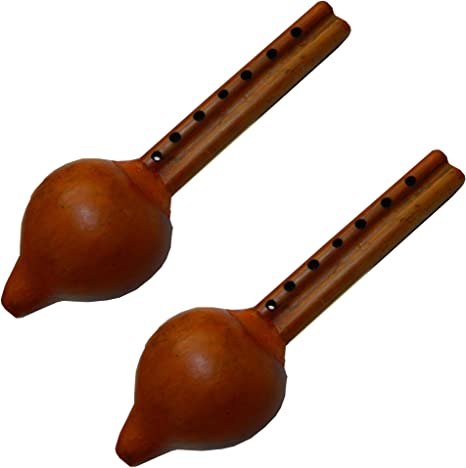 Indisches Musikinstrument - KibrisPDR