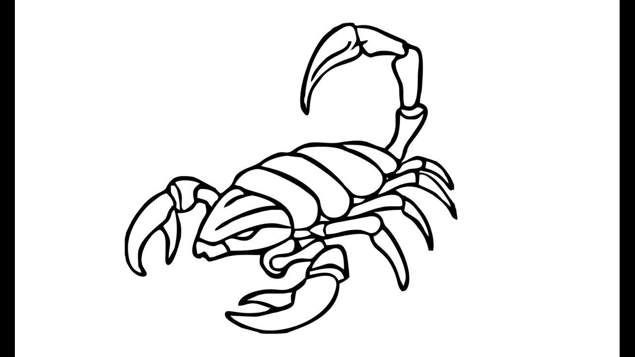 Skorpion Zeichnung Einfach - KibrisPDR