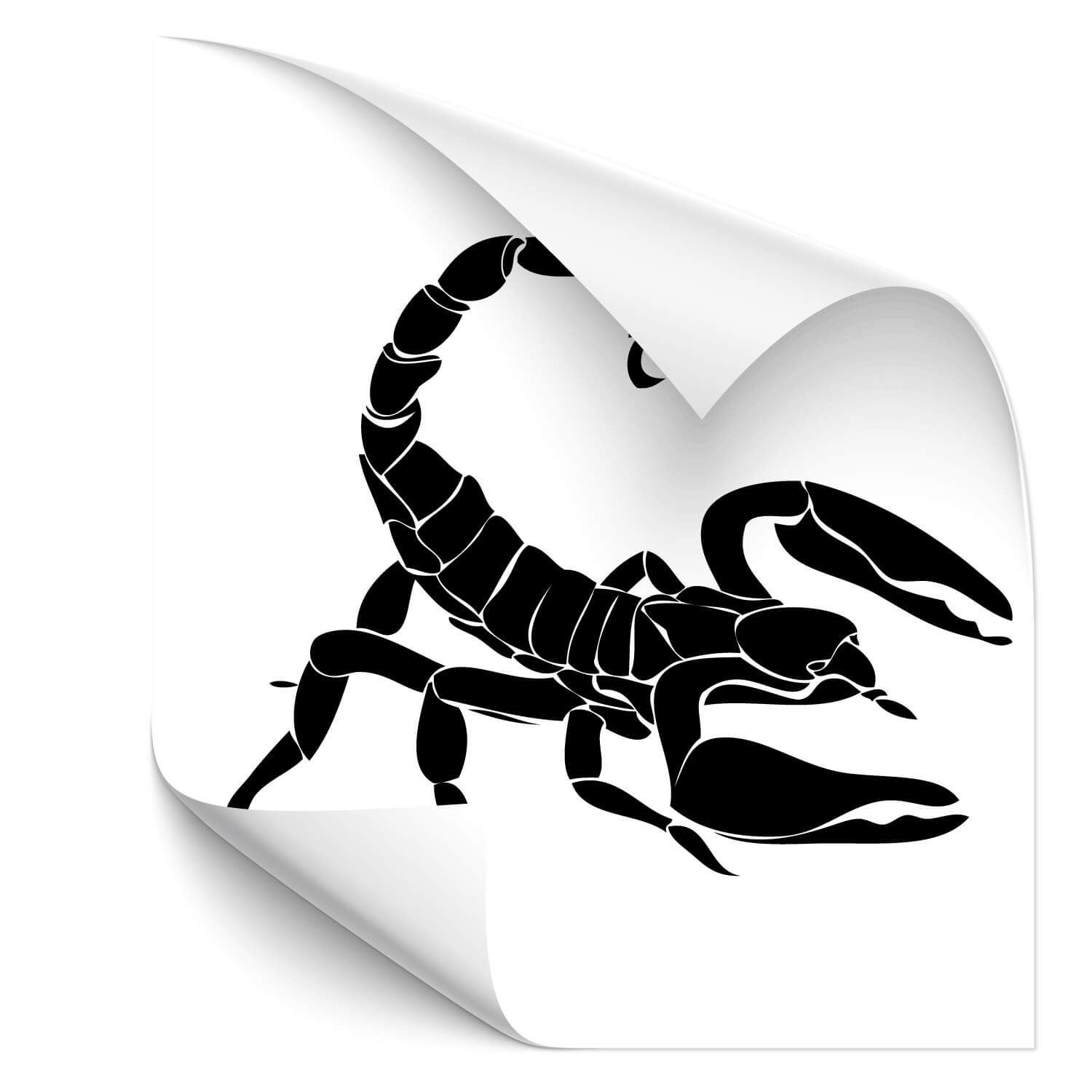 Detail Skorpion Zeichnung Einfach Nomer 27