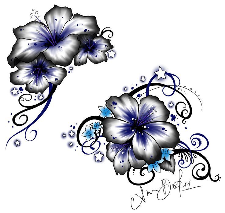Detail Hibiskus Blumen Tattoo Vorlage Nomer 6
