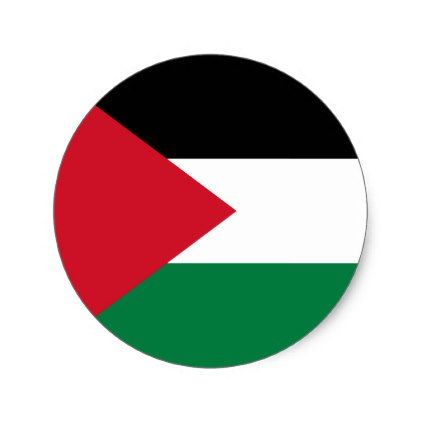 Detail Palestine Flag Nomer 22