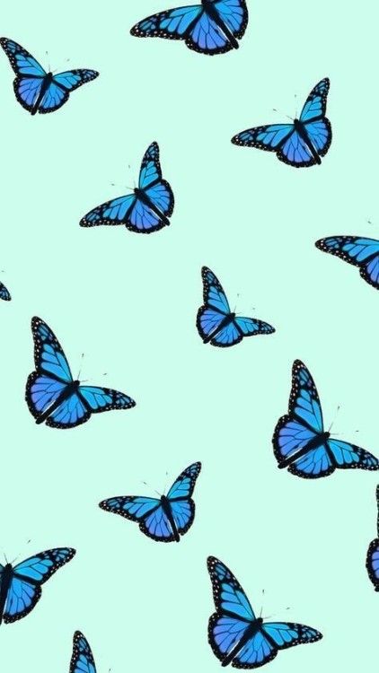 Detail Schmetterling Hintergrundbild Nomer 3