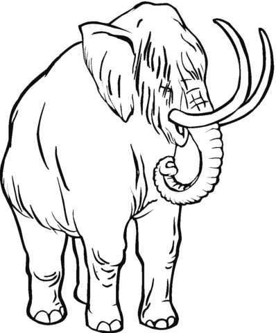 Detail Mammut Zeichnen Einfach Nomer 4