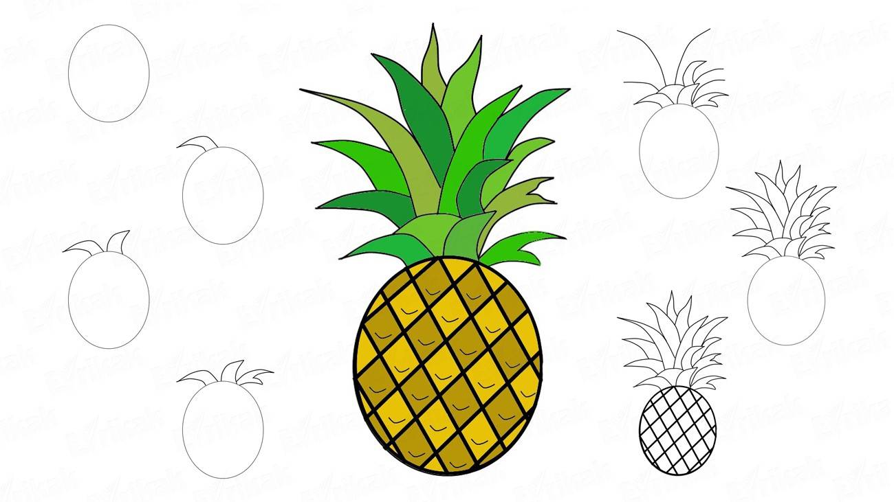 Ananas Zeichnen Einfach - KibrisPDR