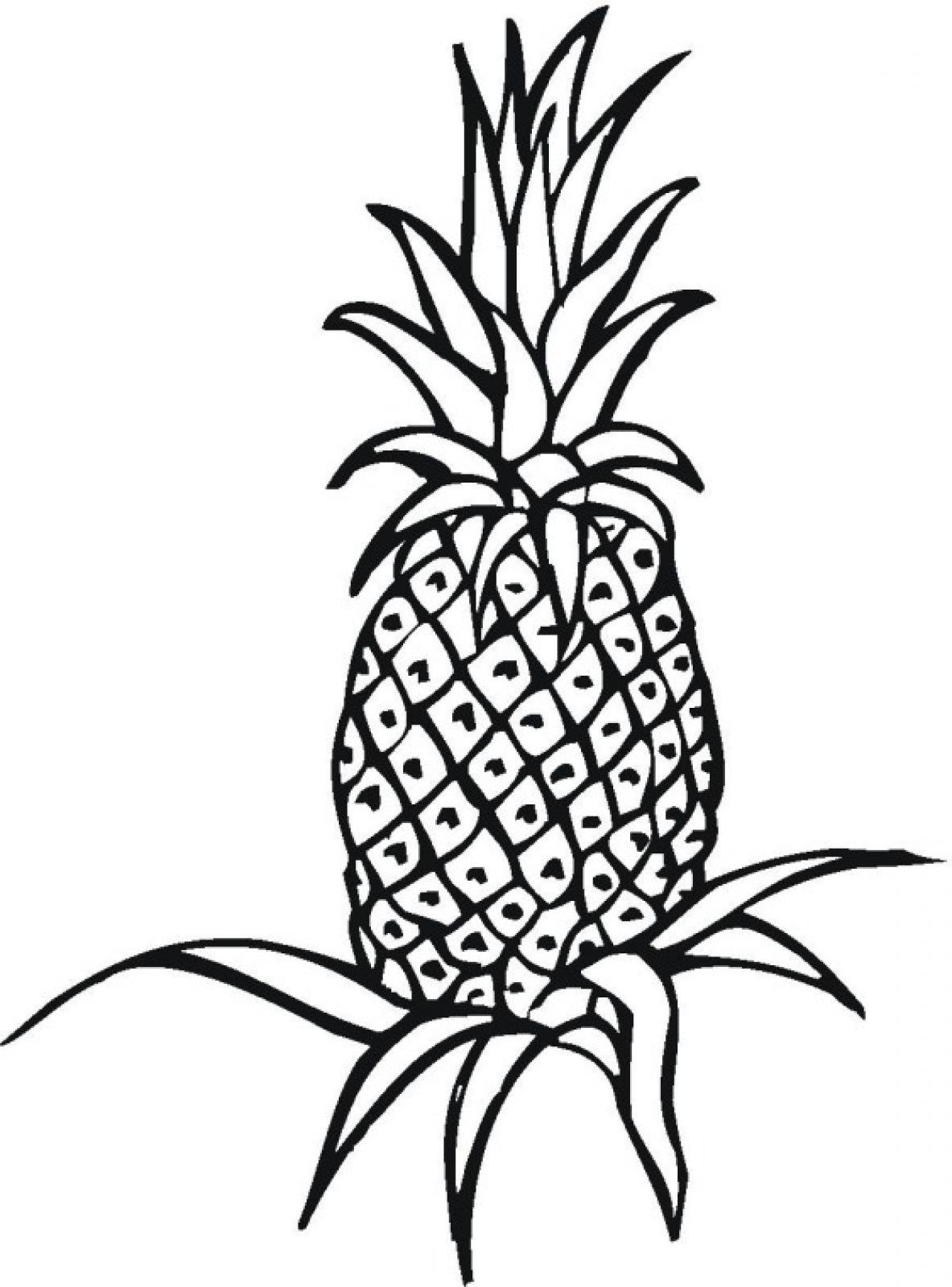 Detail Ananas Zeichnen Einfach Nomer 14