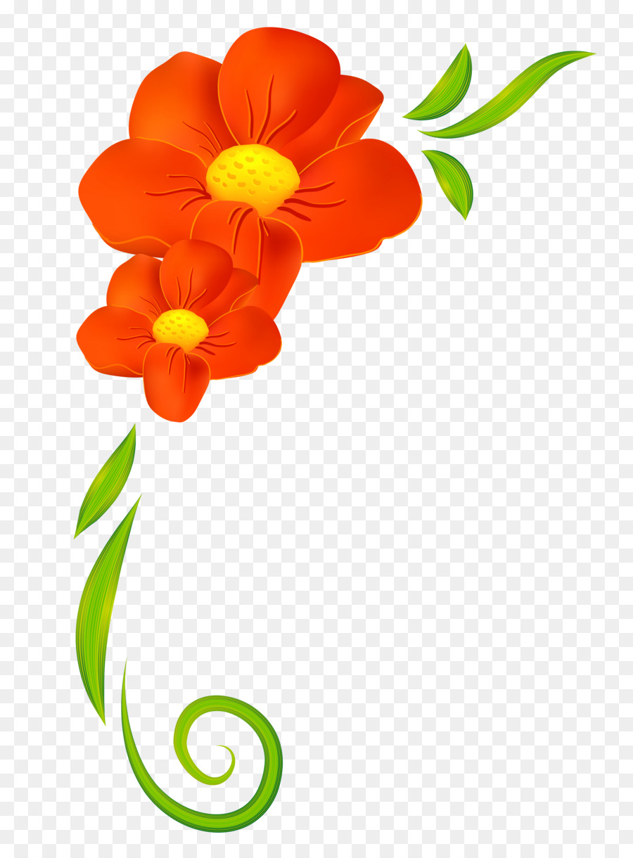 Detail Orange Blumen Bilder Nomer 9