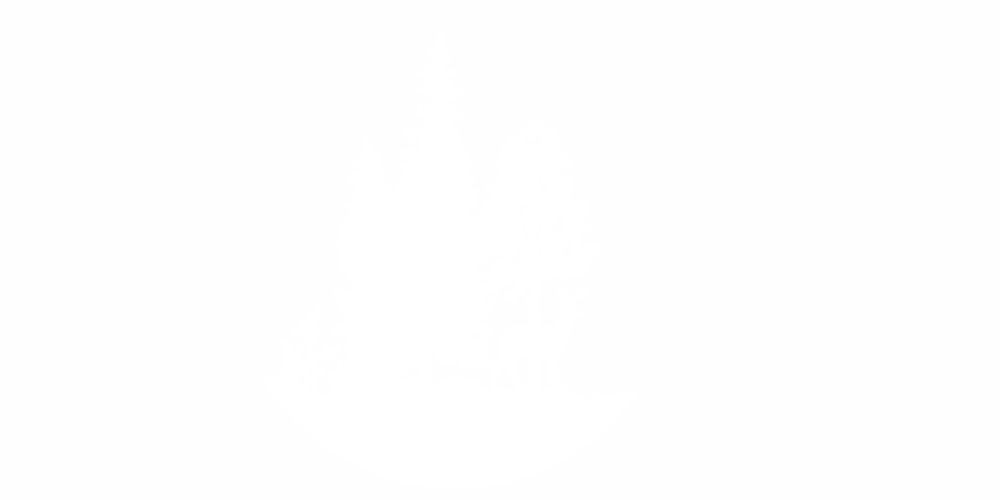 Detail Wald Hirsch Nomer 23
