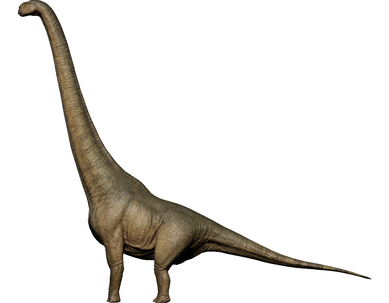 Detail Zoo Tycoon Triceratops Nomer 14