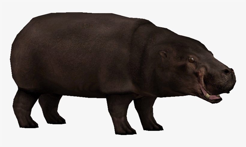 Detail Zoo Tycoon Triceratops Nomer 17