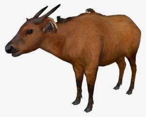 Detail Zoo Tycoon Triceratops Nomer 7