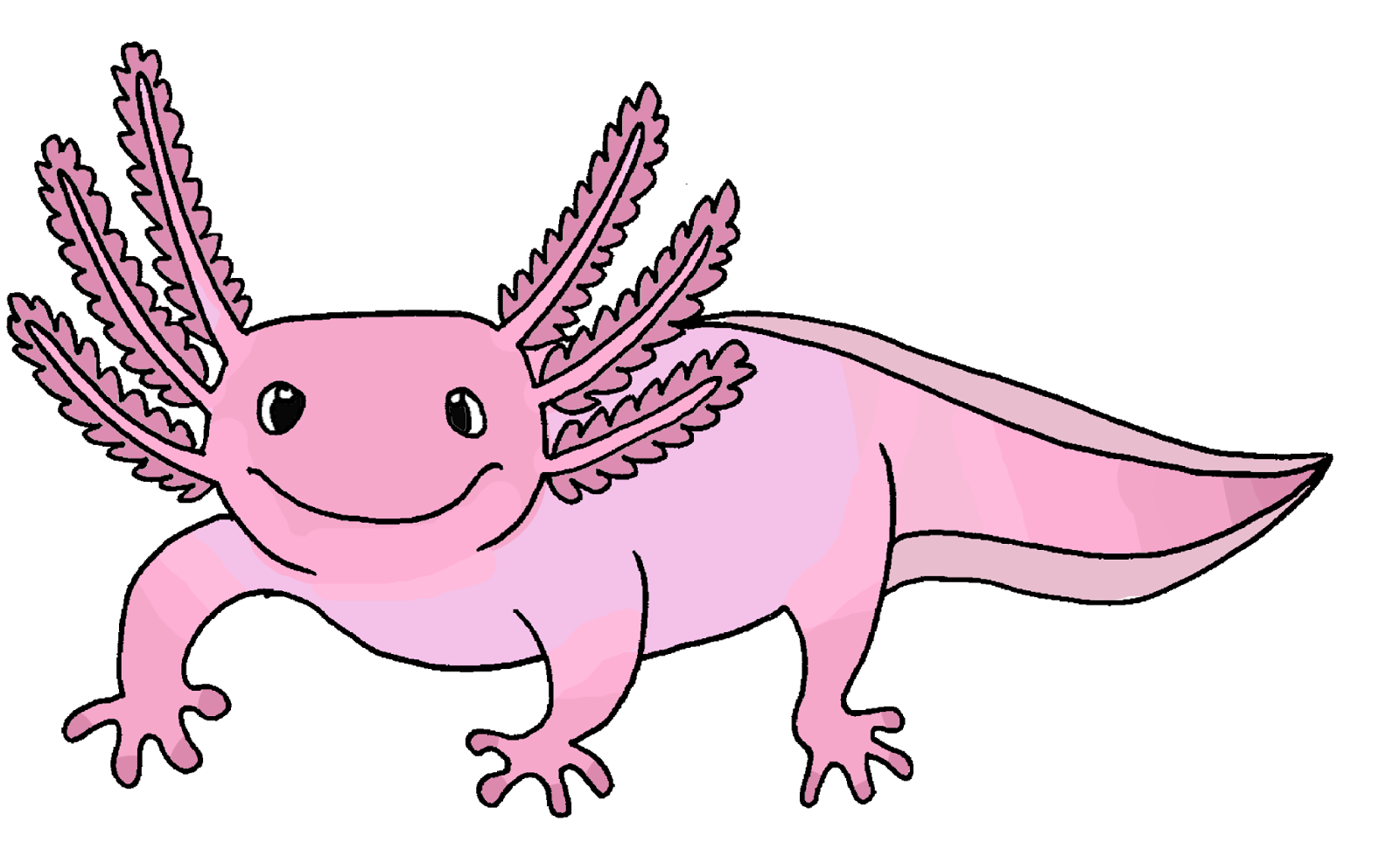 Detail Axolotl Leuchtend Nomer 2