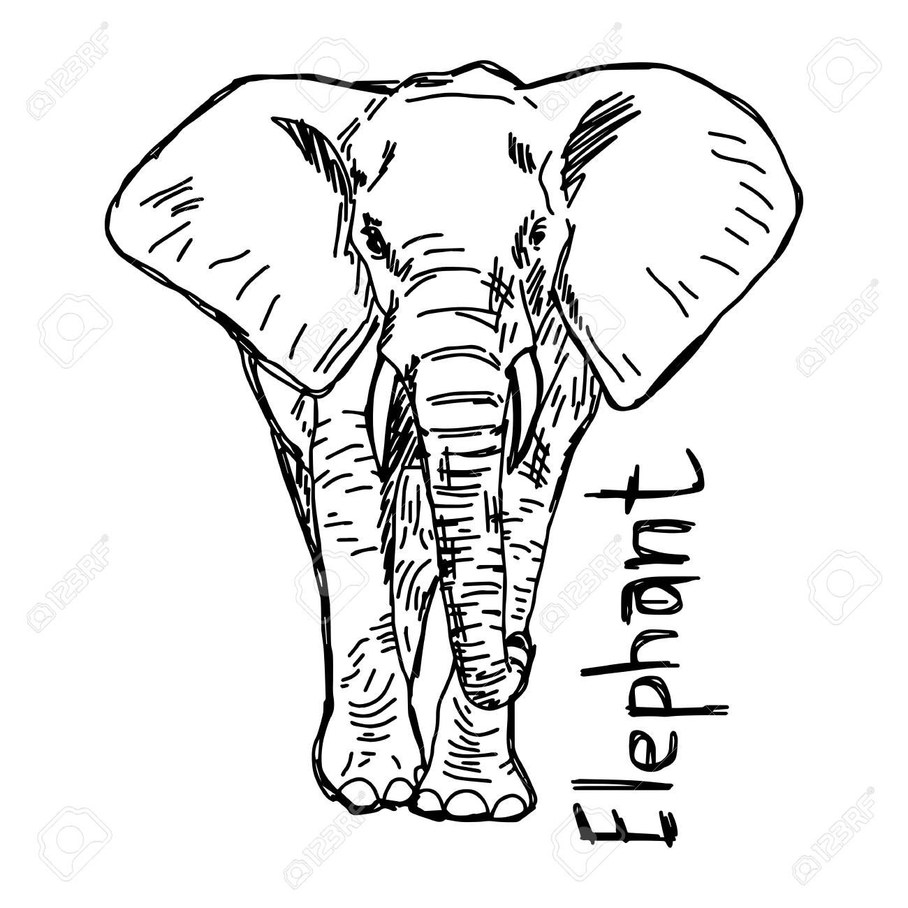 Detail Elefant Umriss Nomer 21