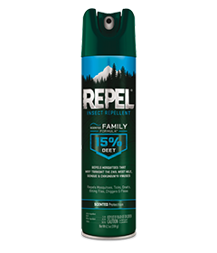 Detail Aerosol Spray Paint Formulation Nomer 23