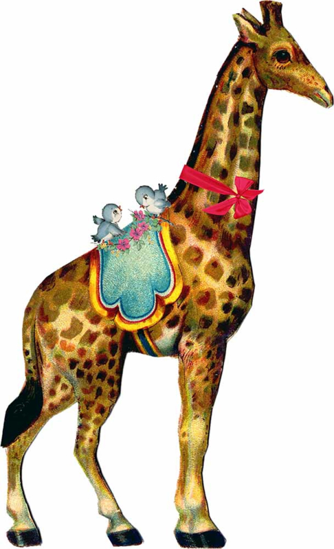 Detail Bild Giraffe Bunt Nomer 15