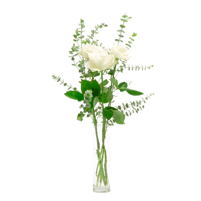 Detail Blume 2000 Eukalyptus Nomer 5