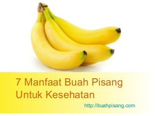 Detail Contoh Gambar Buah Pisang Nomer 28