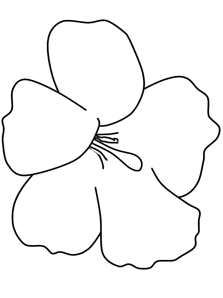 Detail Contoh Gambar Bunga Anak Tk Nomer 55