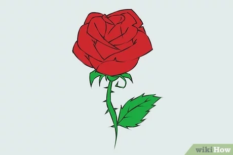 Detail Contoh Gambar Bunga Bagus Nomer 31