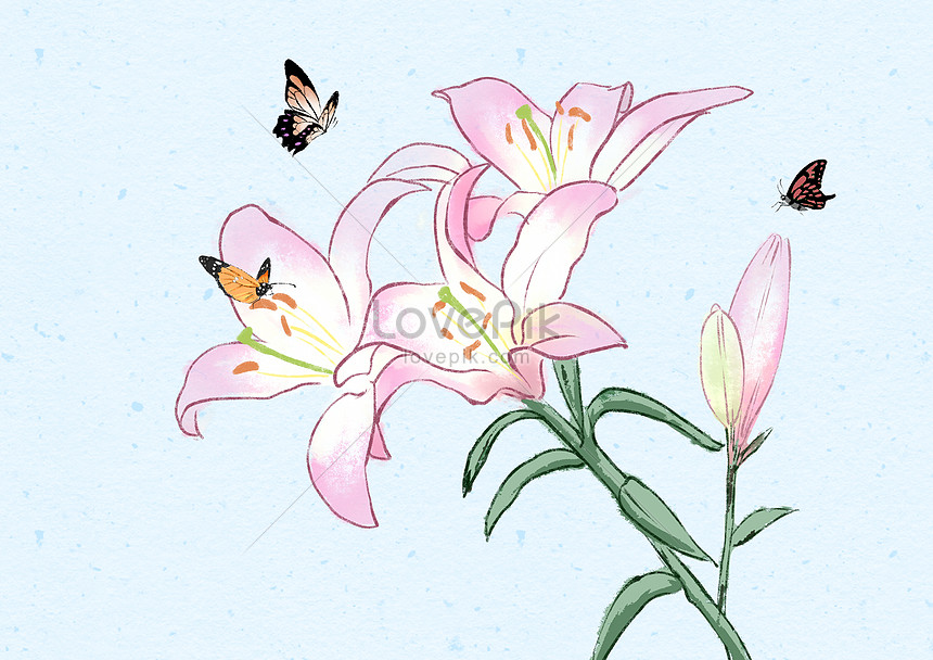 Detail Contoh Gambar Bunga Bakung Nomer 37