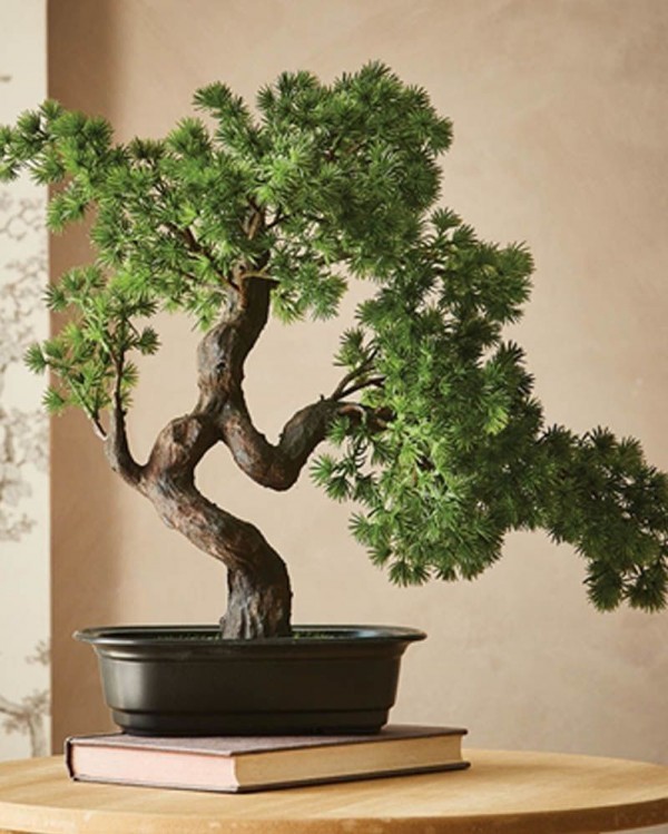 Detail Contoh Gambar Bunga Bonsai Nomer 25