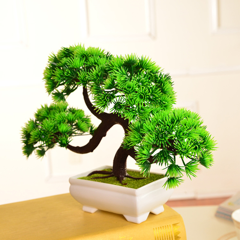 Detail Contoh Gambar Bunga Bonsai Nomer 29