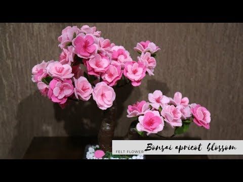 Detail Contoh Gambar Bunga Bonsai Nomer 37