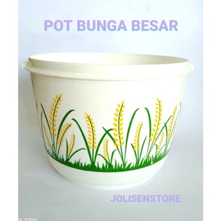 Detail Contoh Gambar Bunga Di Pot Nomer 30