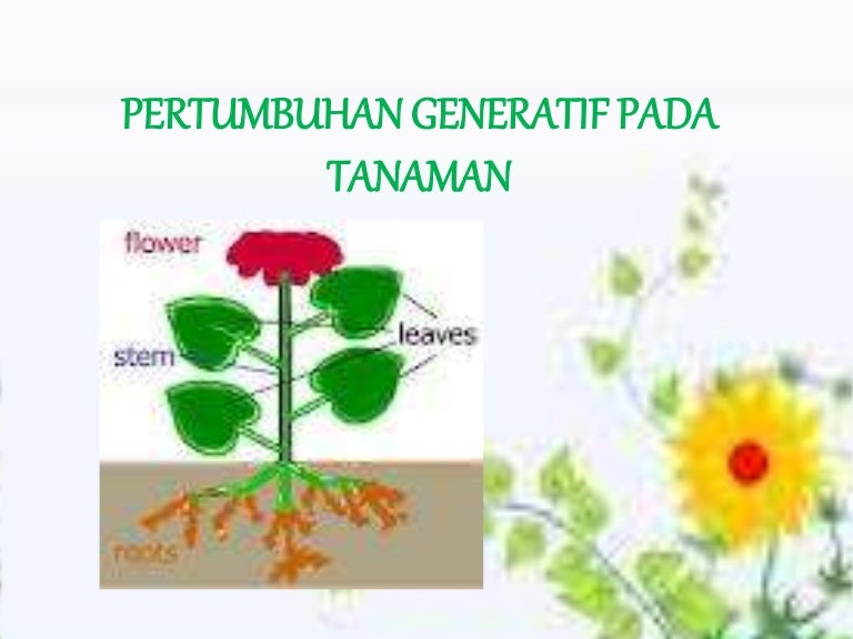 Detail Contoh Gambar Bunga Generatif Nomer 51