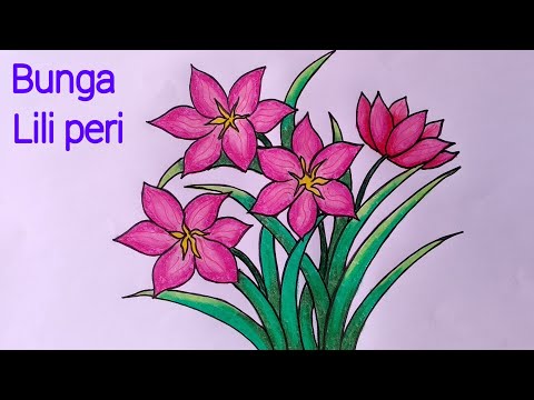 Detail Contoh Gambar Bunga Lily Nomer 27