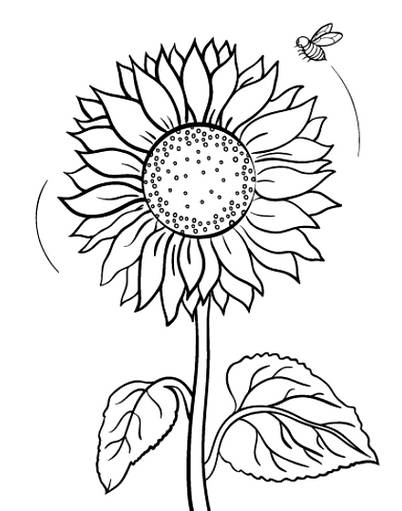 Detail Contoh Gambar Bunga Matahari Kartun Nomer 19