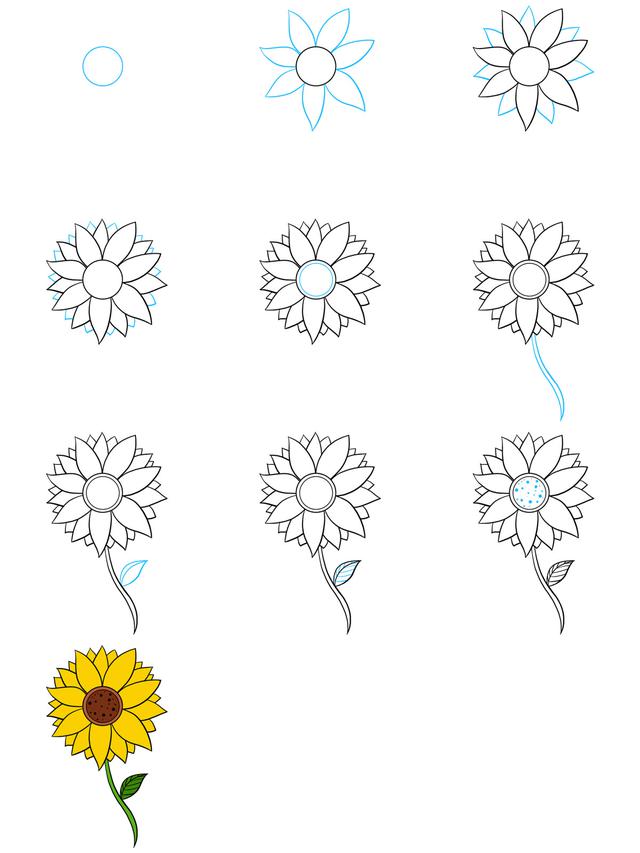 Detail Contoh Gambar Bunga Matahari Yang Gampang Nomer 50