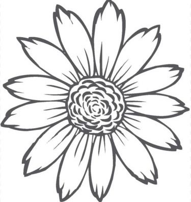 Detail Contoh Gambar Bunga Matahari Yang Mudah Digambar Nomer 44