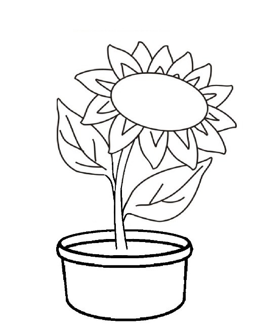Detail Contoh Gambar Bunga Matahari Yang Mudah Digambar Nomer 51